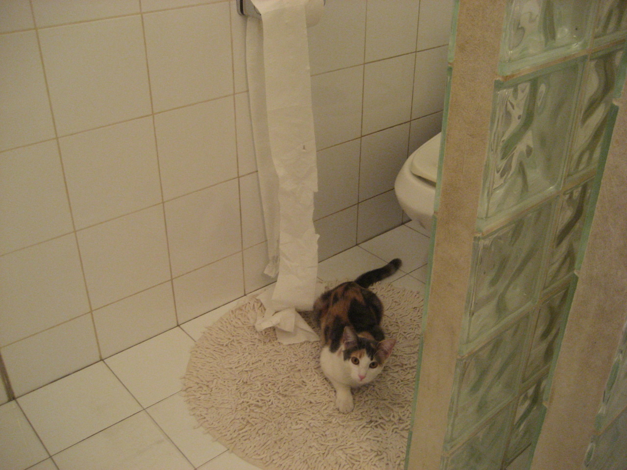 中国三人篮球男队轮换阵容渐趋稳定,中国三人篮球队队员