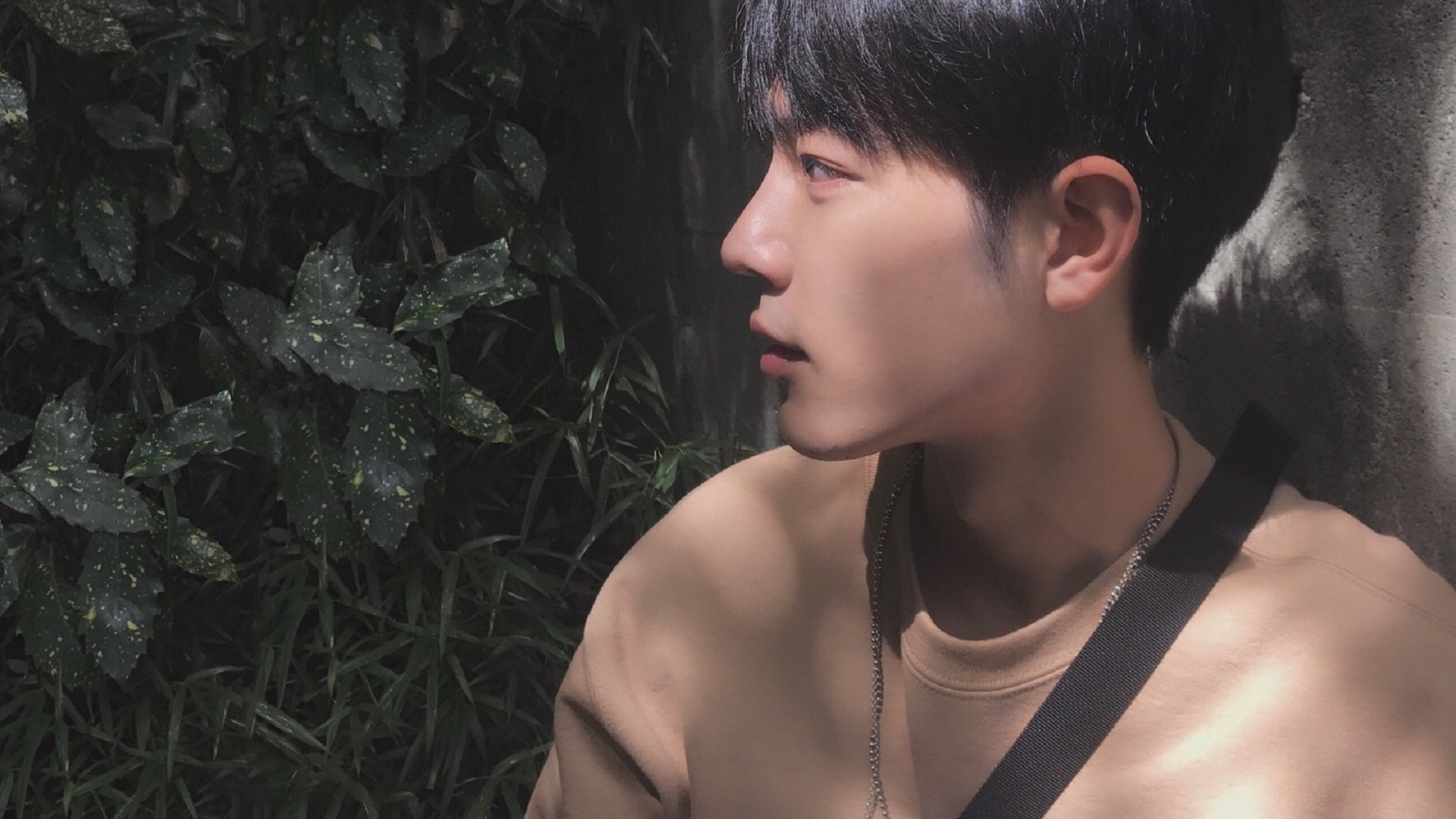 MILANSPORT下载-德国队备战国际乒联混合团体世界杯：赛制分析与战术优化，德国队乒乓球团体赛