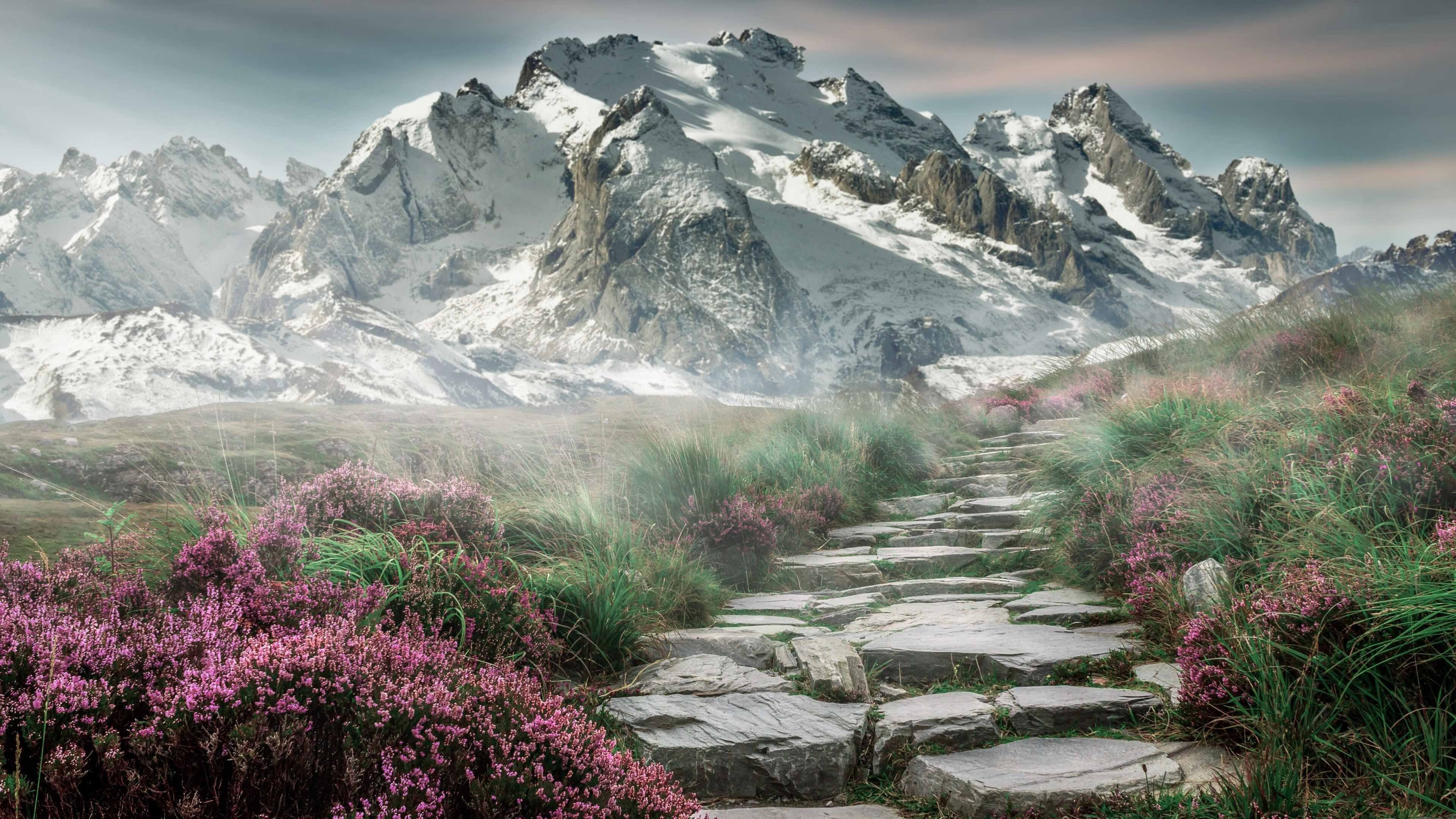 MILANSPORT下载-比赛转播权纷争升级体育媒体纷纷参与报道，赛事转播权的概念