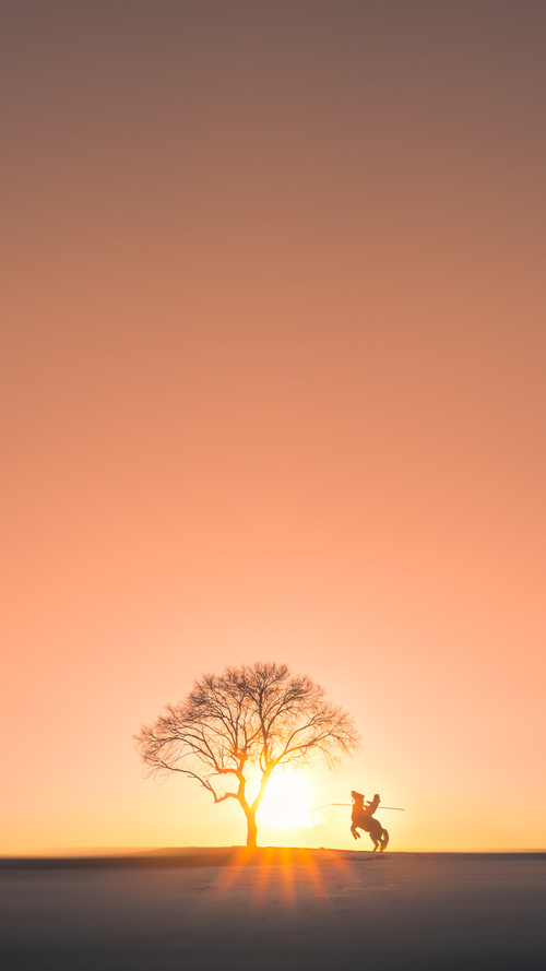 AC米兰-波兰队赛制解析：赛制下的节奏控制与比赛推进策略，波兰队打法