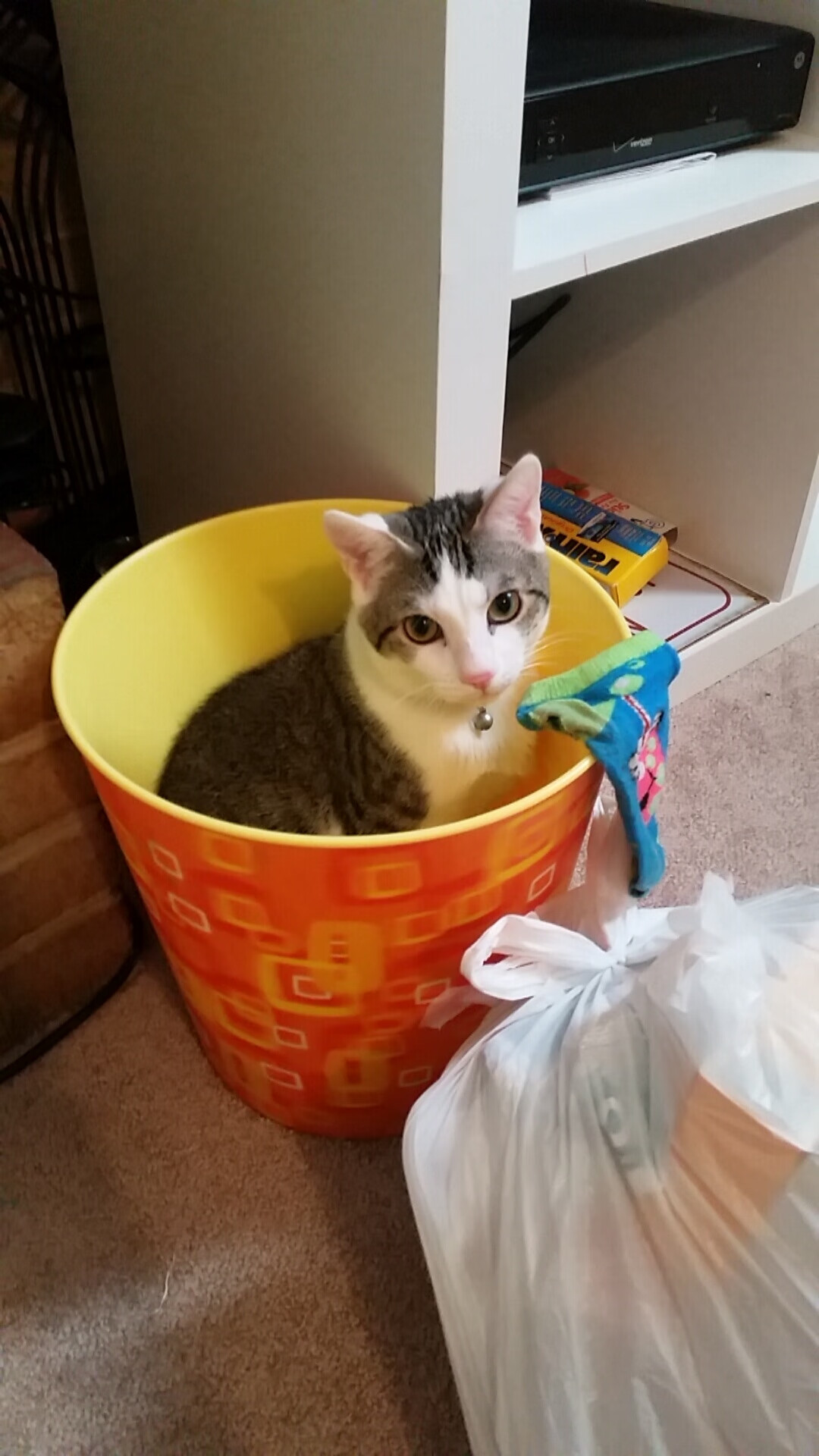 AC米兰-纽卡斯尔快速推进打出连续攻势，纽卡斯尔联什么水平