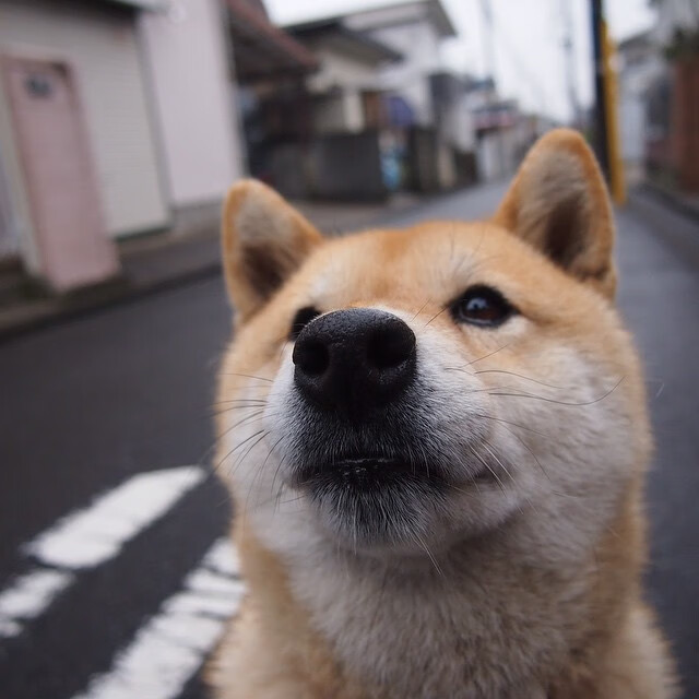 转换进攻是否必须依靠速度型球员,转换进攻跟攻守转换的区别
