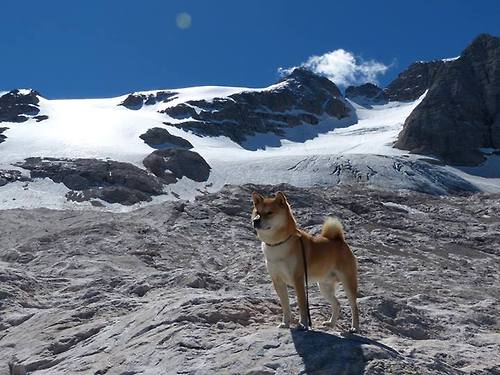 Milan Sports-青少年电子竞技对抗赛激发战略思维与协作，青少年电子锦标赛简介