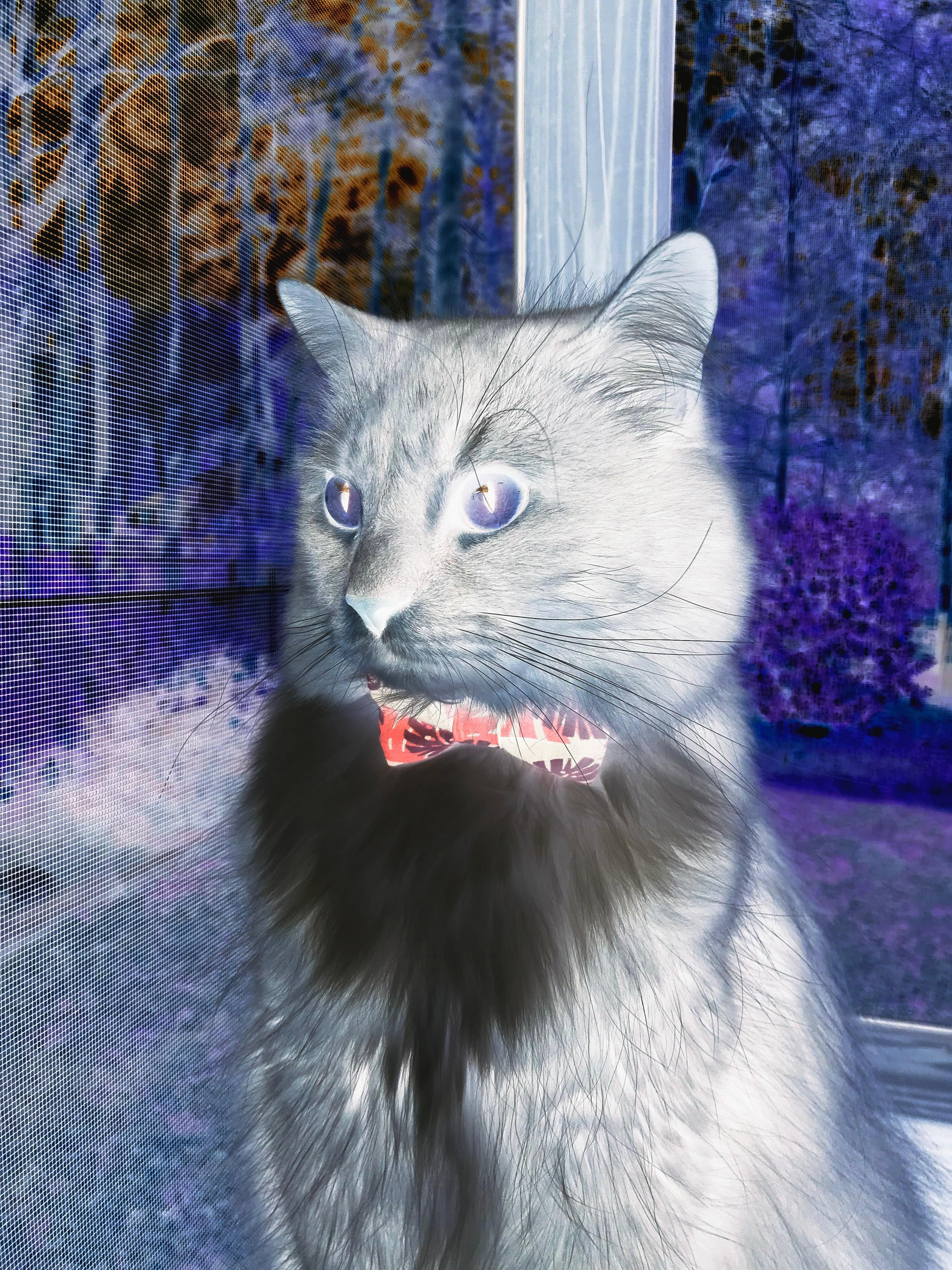 中长距离游泳节奏控制精准,中长距离游泳属于有氧运动吗