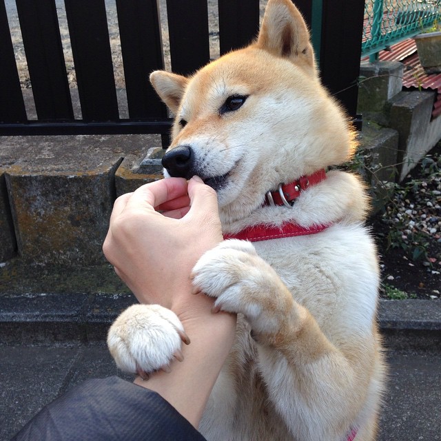 米兰体育APP-掘金训练课引入移动投影辅助跑位判断