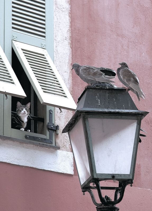 艾比·德尔福:南非队的防守支柱,关键时刻化解对方威胁,南非德比尔斯公司