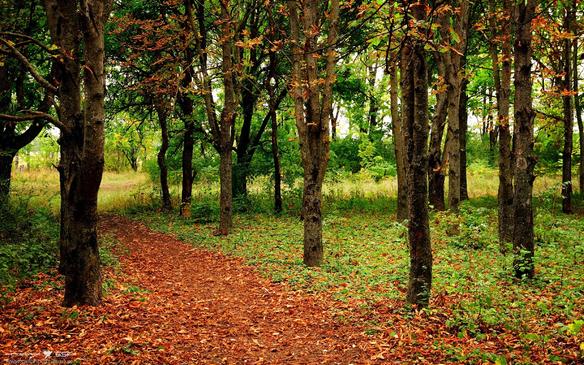 米兰登录入口-东莞高空作业遇险，安全警钟长鸣，东莞高空作业证怎么办理