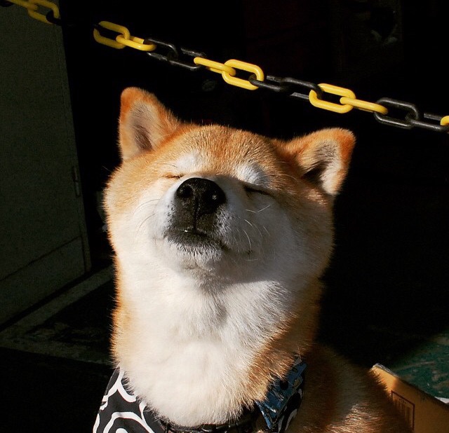 东莞高空作业遇险，安全警钟长鸣，东莞高空作业证怎么办理